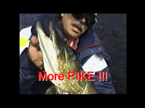 man holing northern pike on fishing trip