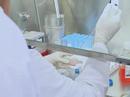 Anti-Cancer Blood Transfusion