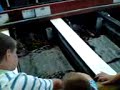 koi carp fun