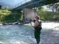 Il Pigna a mosca in Austria sul Gail e sul Moder (video) Il Pigna a mosca in Austria sul Gail e sul Moder (video)