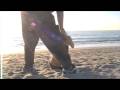 seachel back rolfing session venice beach seachel back rolfing session venice beach