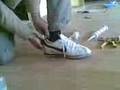 videos de kemba  e madhe