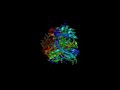 Herceptin