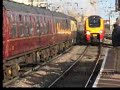 Bittern in Newcastle Central on the Talisman Manele-Gratis.net