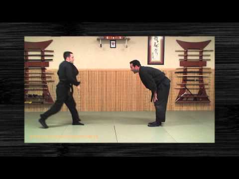 how to learn ninjutsu