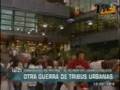 Pelea de floggers y cumbieros