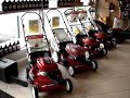 garden of eden lawn care