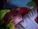Natan tapis deveil