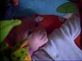 Natan tapis deveil