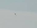 Airshow 2004 Payerne - Switzerland - Part3