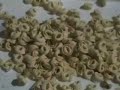 www.ostoni.com - Tortellini machine