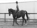 me riding cheeky