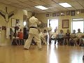 Seisan Kata - Brian McCarty