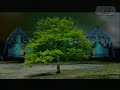 William Orbit - Barber\