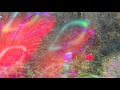 Beat Connection - Silver Screen (OFFICIAL VIDEO by DUMB EYES) Beat Connection - Silver Screen (OFFICIAL VIDEO by DUMB EYES)