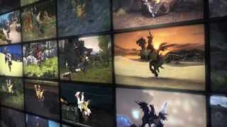 FINAL FANTASY XIV TVCM Parallel Visions