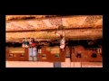 5 - Cafe Tacuba (Corto Reves pt3)