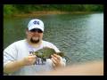 Bream&Cat Fishing-SugarHill Outdoors