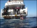 Crociera a Yanbu - M/Y Veena - parte 3 di 3