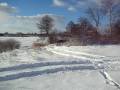 videos de snow