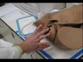 Real Teaching Heroes - Dr. Male OBGyn Resident - WashU