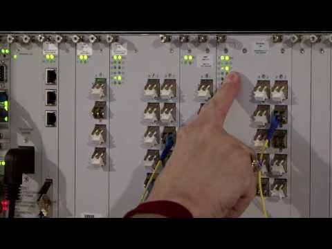 Automated Fiber Detection Revealed