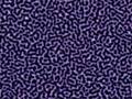 Turing Reaction-Diffusion
