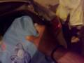 videos de rober michun y chalton geston en torrevieja