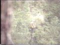 Rally crash