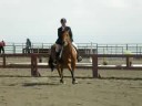 Jennifer and Jamica Norcal Show 8/17/08 Hunter Under Saddle Jennifer and Jamica Norcal Show 8/17/08 Hunter Under Saddle