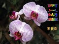刚从yahoo 里看到有人贴了