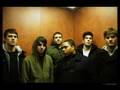 Bet on Black - Magnolia