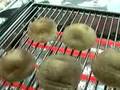 生椎茸を焼きました！