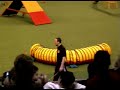 Alan Bray Crufts 2007