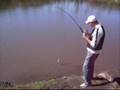 Pesca