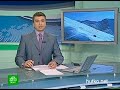 Видеоновость В фотоловушку на Алтае впервые попался снежный барс