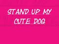 Nintendogs Dachshund Beagel