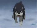 sturm und drang silver fang/weed