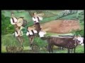 Magnificent Trubaci FiestaMania! Bakija Bakic Orchestra Ekrem Mamutovic Jr. Gypsy Groovz