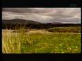 The Homes Of Donegal