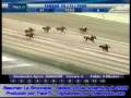 videos de rESUMEN DE CARRERAS SABADO 29-NOV-2008