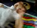 Karneval 2007 K�ln - Die M�rder-Tr�te erwischt JEDEN Teil 4