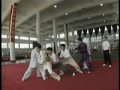 陳正雷Taiji Rooting : Master Chen Zhenglei