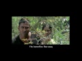 The Road From Elephant Pass Pictures & Video in HD