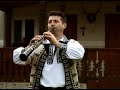 Marius Sicoe -Taragot, Banat
