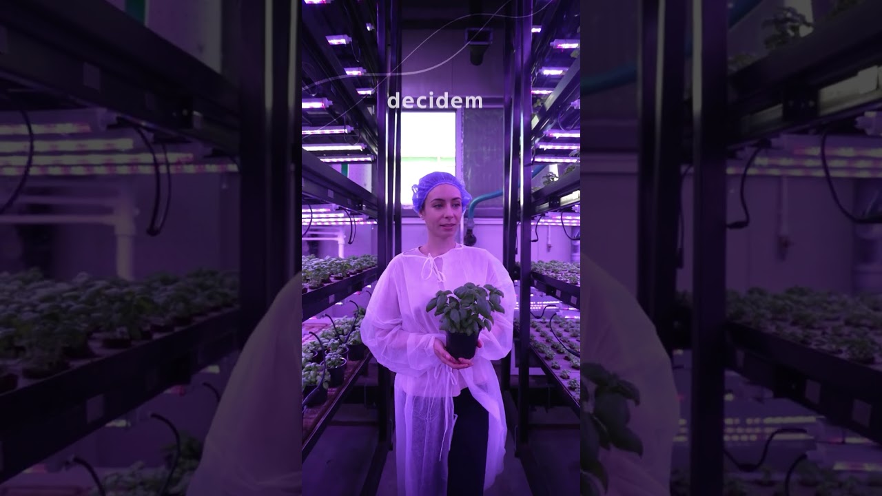 Dia Internacional da Mulher