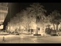 RIBES DE NIT
