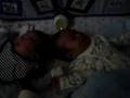 Geoffrey & Gregory
