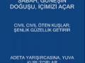 3 ŞAİR VE BESTECİ:ÜNAL B. -(İLKBAHAR AYLARI)