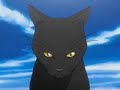 Bleach Capitulo 28